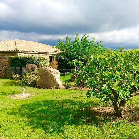 Clos Simoni Figari  Exterior photo