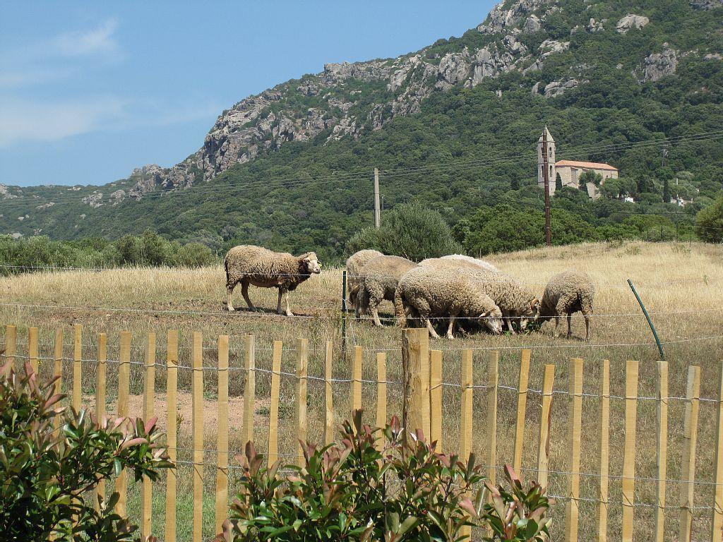 Clos Simoni Figari  Exterior photo