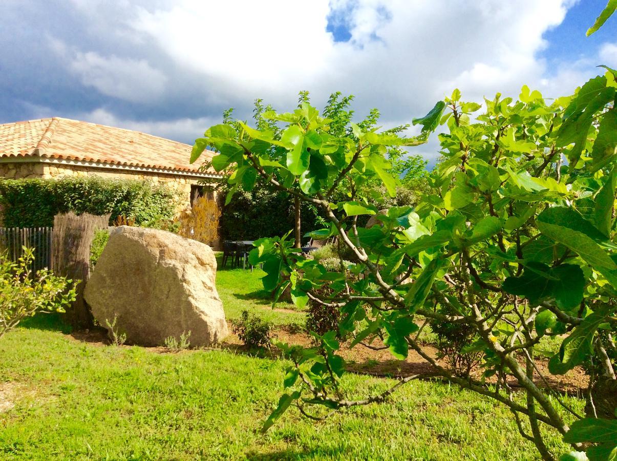 Clos Simoni Figari  Exterior photo